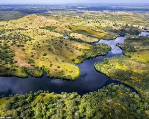 Preview wallpaper river, fields, trees, aerial view, nature