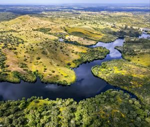 Preview wallpaper river, fields, trees, aerial view, nature