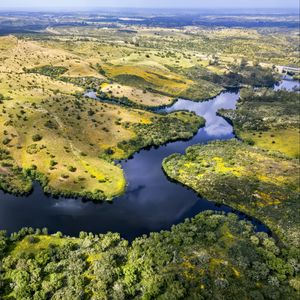 Preview wallpaper river, fields, trees, aerial view, nature