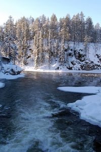 Preview wallpaper river, finland, ice, snow, trees, hoarfrost, stream