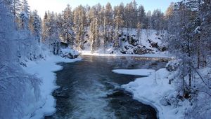 Preview wallpaper river, finland, ice, snow, trees, hoarfrost, stream