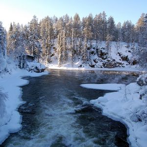 Preview wallpaper river, finland, ice, snow, trees, hoarfrost, stream