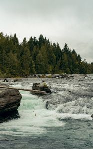 Preview wallpaper river, flow, trees, forest, landscape