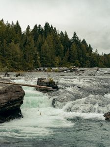 Preview wallpaper river, flow, trees, forest, landscape