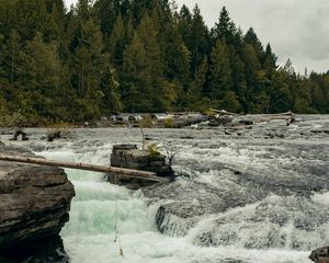 Preview wallpaper river, flow, trees, forest, landscape