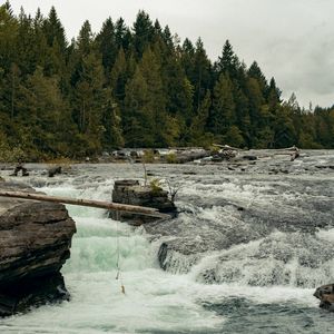 Preview wallpaper river, flow, trees, forest, landscape