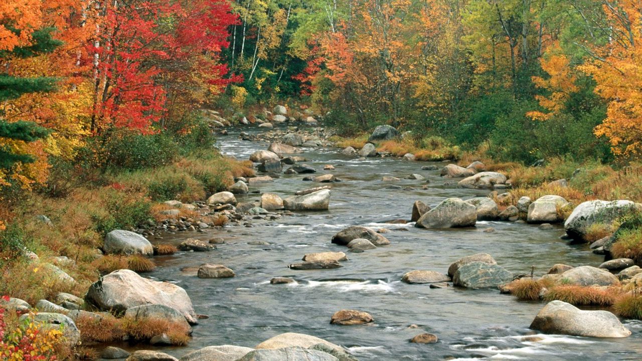 Wallpaper river, flowing, rocks, fall