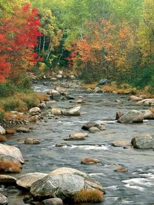 Preview wallpaper river, flowing, rocks, fall