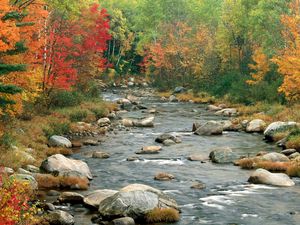 Preview wallpaper river, flowing, rocks, fall