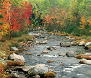 Preview wallpaper river, flowing, rocks, fall