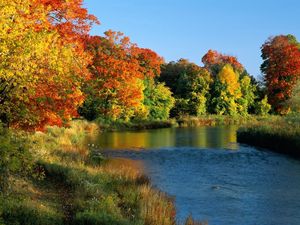 Preview wallpaper river, flowing, trees, autumn