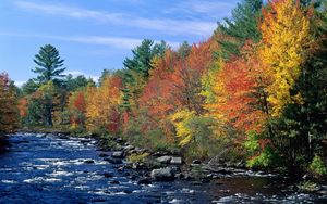 Preview wallpaper river, flowing, trees, autumn