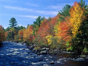 Preview wallpaper river, flowing, trees, autumn