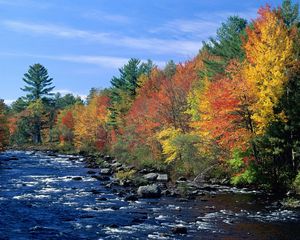 Preview wallpaper river, flowing, trees, autumn