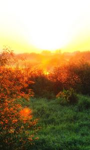 Preview wallpaper river, fog, dawn, grass, sunlight, morning