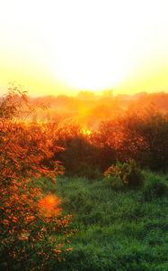 Preview wallpaper river, fog, dawn, grass, sunlight, morning