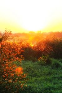 Preview wallpaper river, fog, dawn, grass, sunlight, morning