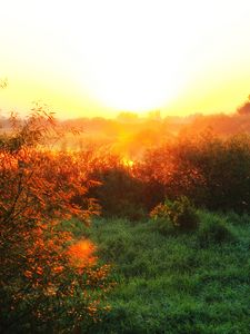 Preview wallpaper river, fog, dawn, grass, sunlight, morning