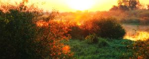 Preview wallpaper river, fog, dawn, grass, sunlight, morning