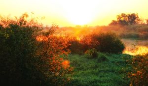 Preview wallpaper river, fog, dawn, grass, sunlight, morning