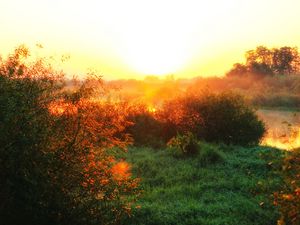 Preview wallpaper river, fog, dawn, grass, sunlight, morning