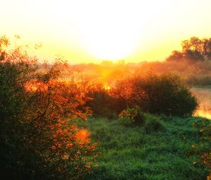 Preview wallpaper river, fog, dawn, grass, sunlight, morning