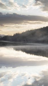 Preview wallpaper river, fog, forest, trees, clouds