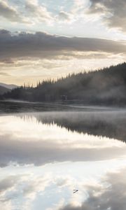 Preview wallpaper river, fog, forest, trees, clouds