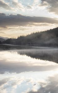 Preview wallpaper river, fog, forest, trees, clouds