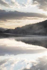 Preview wallpaper river, fog, forest, trees, clouds