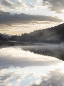 Preview wallpaper river, fog, forest, trees, clouds