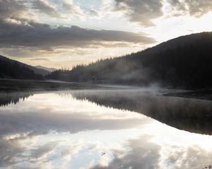 Preview wallpaper river, fog, forest, trees, clouds