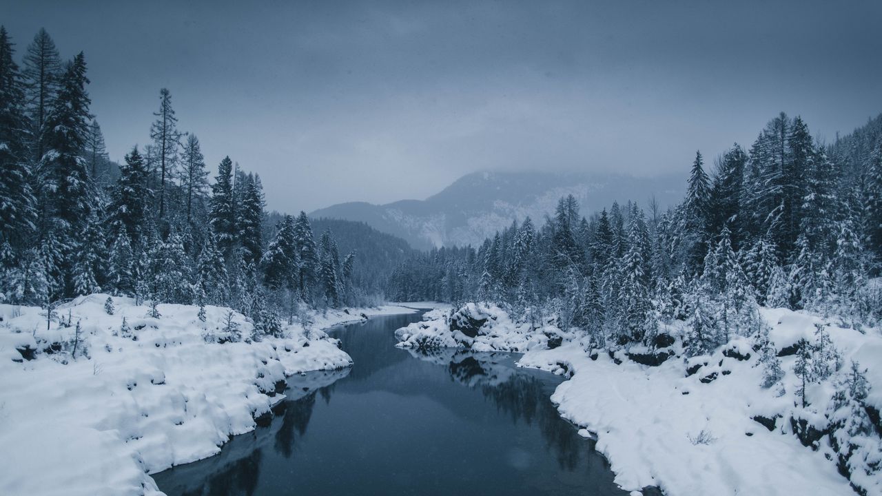 Wallpaper river, fog, snow, winter, trees