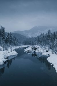 Preview wallpaper river, fog, snow, winter, trees
