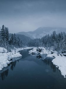 Preview wallpaper river, fog, snow, winter, trees