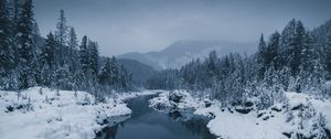Preview wallpaper river, fog, snow, winter, trees