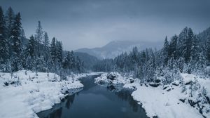 Preview wallpaper river, fog, snow, winter, trees