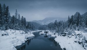 Preview wallpaper river, fog, snow, winter, trees