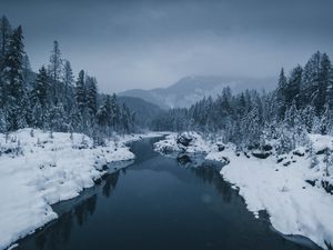 Preview wallpaper river, fog, snow, winter, trees