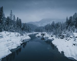 Preview wallpaper river, fog, snow, winter, trees