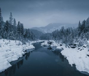 Preview wallpaper river, fog, snow, winter, trees