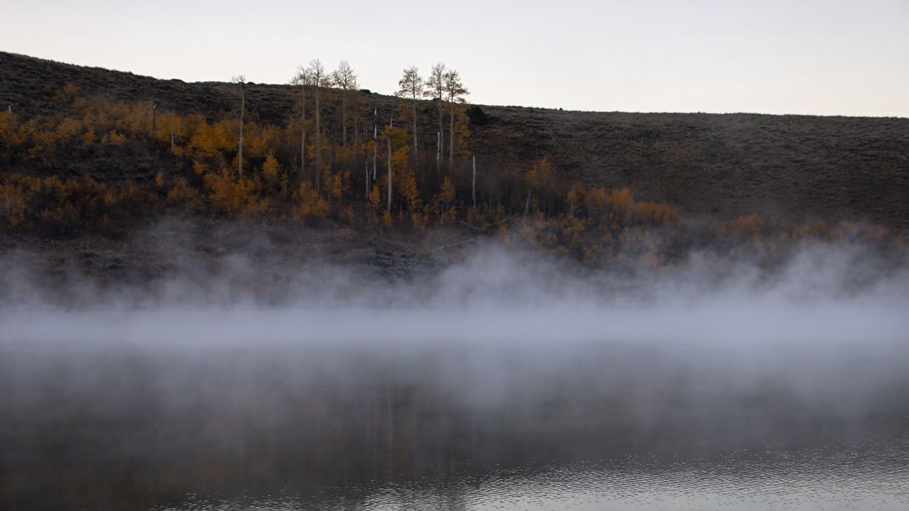 Wallpaper river, fog, trees, landscape, nature