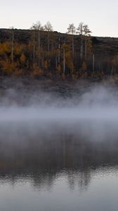 Preview wallpaper river, fog, trees, landscape, nature