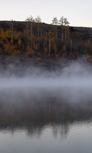 Preview wallpaper river, fog, trees, landscape, nature