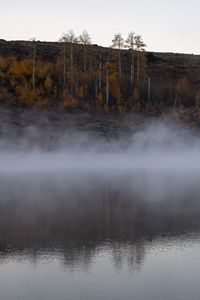 Preview wallpaper river, fog, trees, landscape, nature