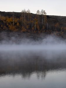 Preview wallpaper river, fog, trees, landscape, nature