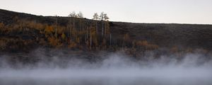 Preview wallpaper river, fog, trees, landscape, nature