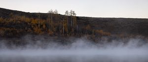 Preview wallpaper river, fog, trees, landscape, nature