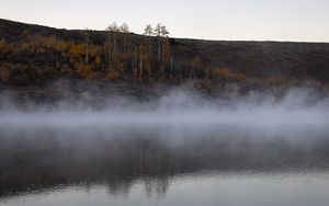 Preview wallpaper river, fog, trees, landscape, nature