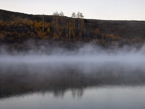 Preview wallpaper river, fog, trees, landscape, nature